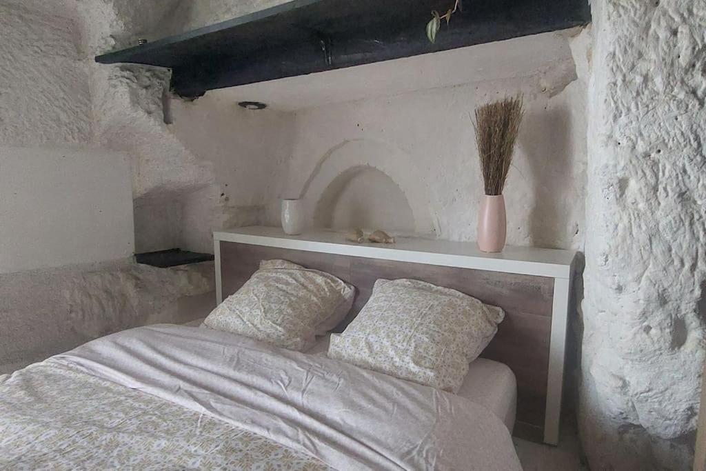 Troglo Entre Caves Et Chateaux Монлуї-сюр-Луар Екстер'єр фото