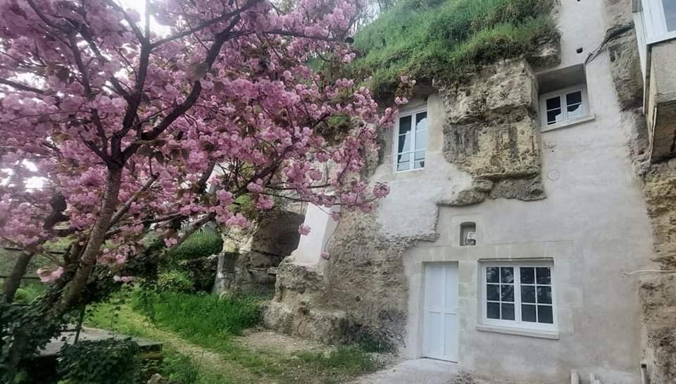 Troglo Entre Caves Et Chateaux Монлуї-сюр-Луар Екстер'єр фото